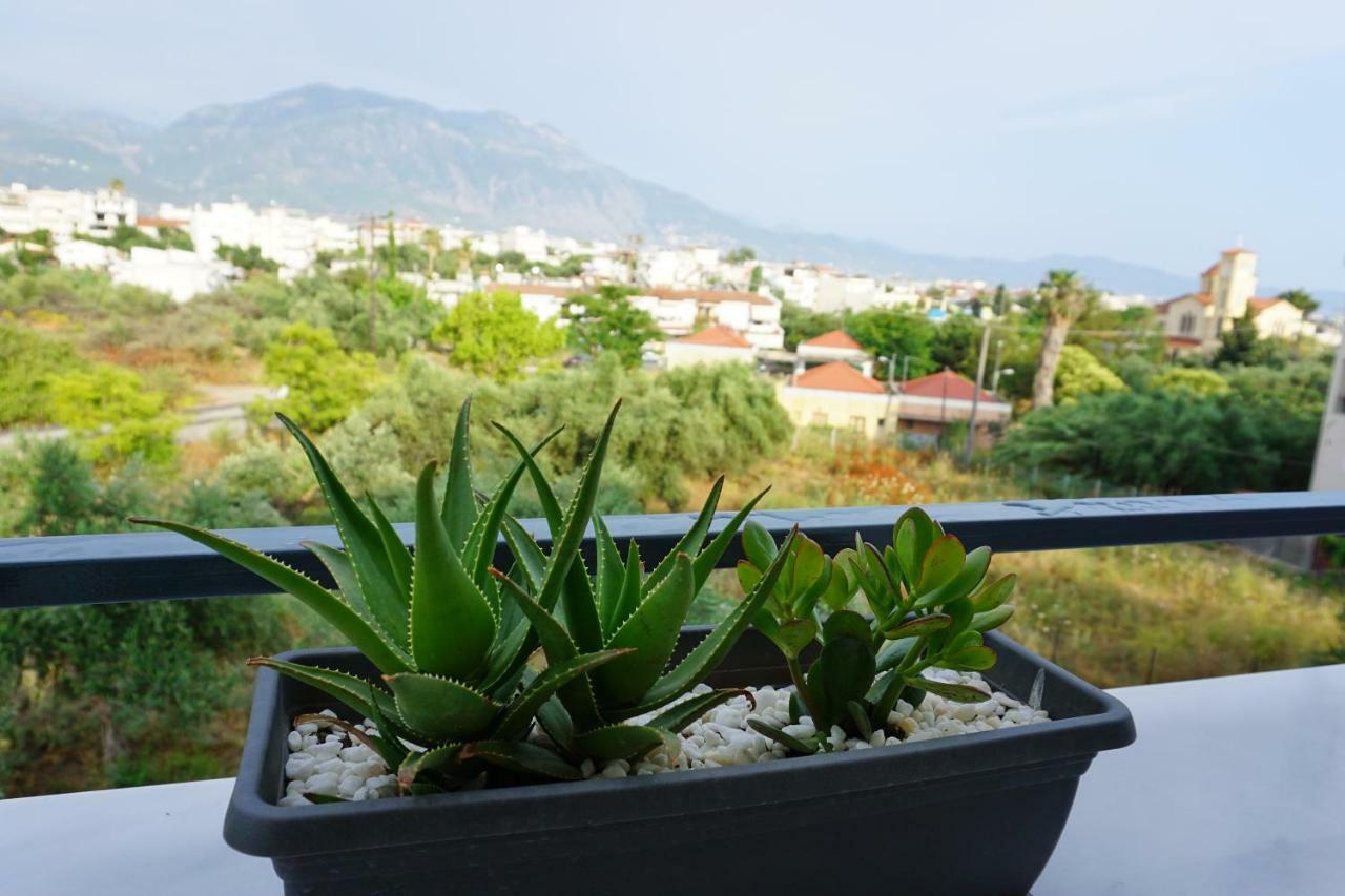 Allseasonsapartment Καλαμάτα Εξωτερικό φωτογραφία